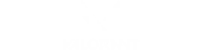 Valorant